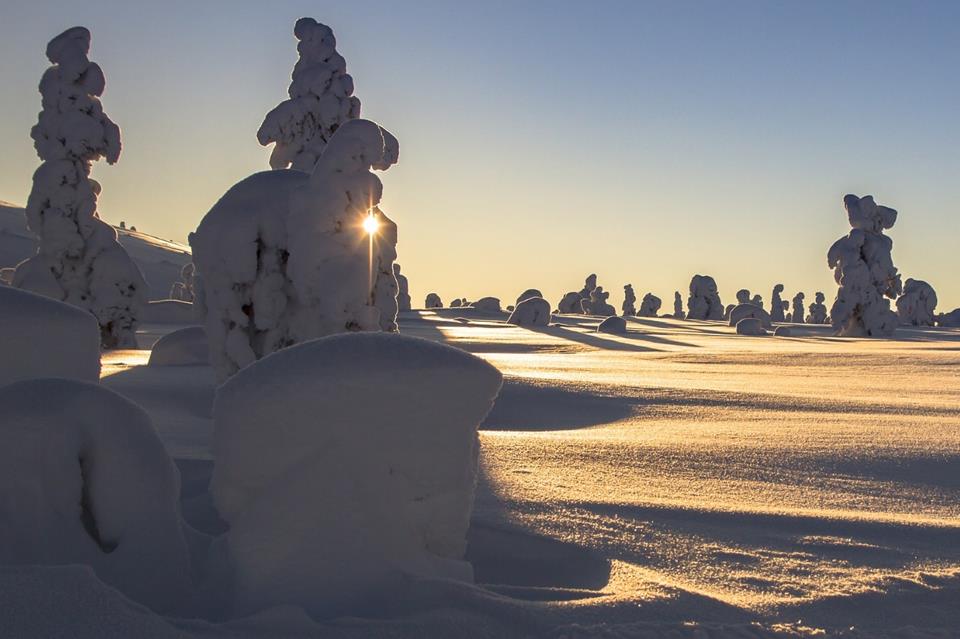 Sunrise On Snowy Landscape jigsaw puzzle