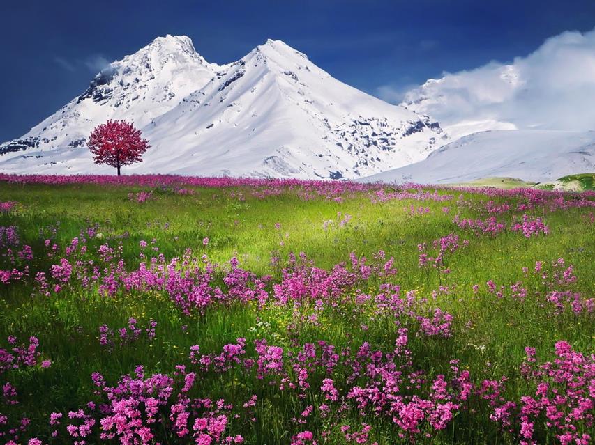 Wintery Mountains With Flowers jigsaw puzzle