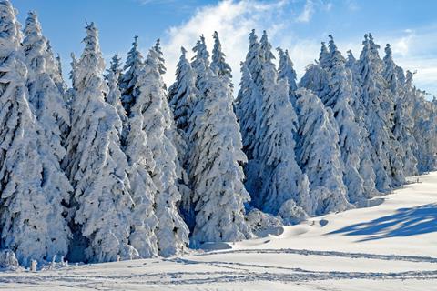 Wintery Landscape jigsaw puzzle