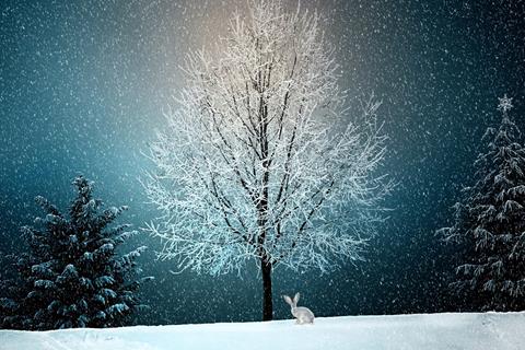 Wintery Lonely Tree jigsaw puzzle