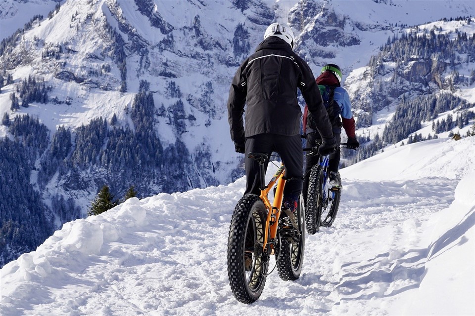 Mountain Biking At The Snow jigsaw puzzle