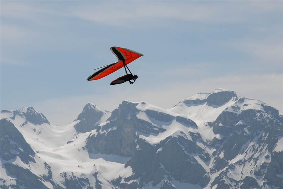 Red Glider jigsaw puzzle