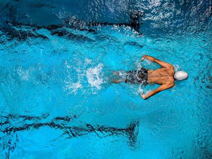 Swimming jigsaw puzzle