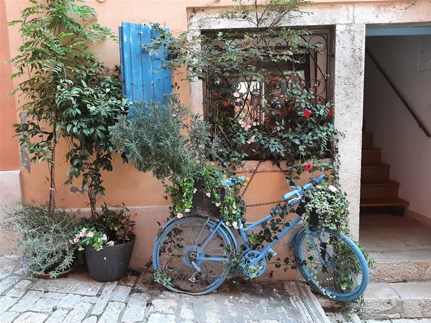 Blue Bycicle jigsaw puzzle