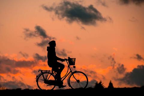 Silhouette At Sunset jigsaw puzzle