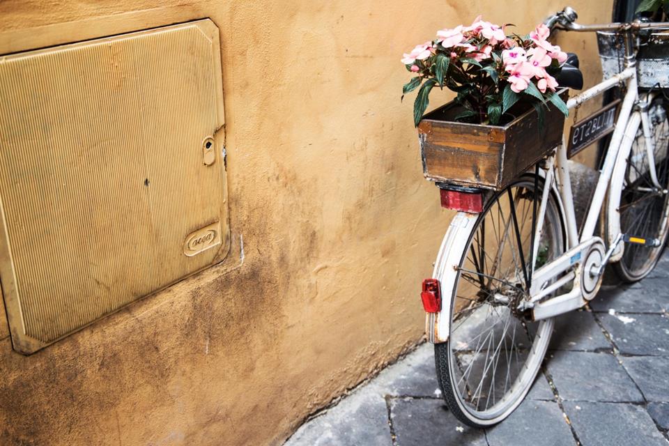 Bike Carrying Flowers jigsaw puzzle