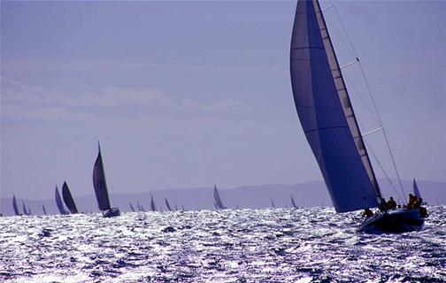 Sailing Catamaran Boats jigsaw puzzle
