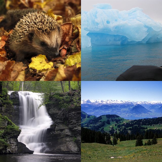 Nature jigsaw puzzles