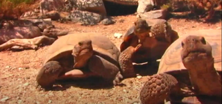 a group of people sitting on a rock jigsaw puzzle