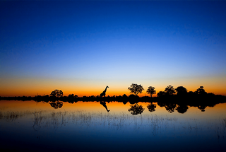 a sunset over a body of water jigsaw puzzle