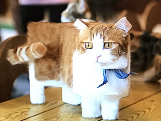 a cat sitting on a table jigsaw puzzle
