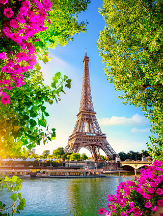 Eiffel Tower over a body of water surrounded by trees jigsaw puzzle
