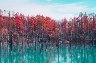 a body of water jigsaw puzzle