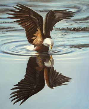 a bird flying over a body of water jigsaw puzzle