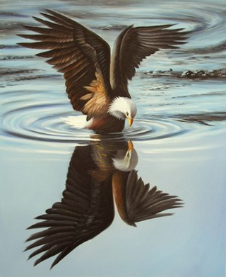 a bird flying over a body of water jigsaw puzzle