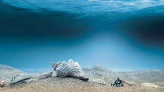 water next to the ocean jigsaw puzzle