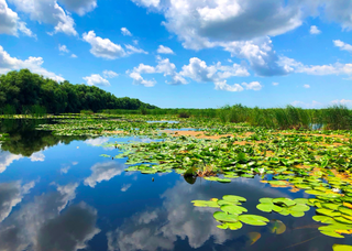 a large body of water jigsaw puzzle