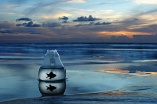 a sunset over a body of water jigsaw puzzle