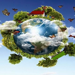  jigsaw puzzle