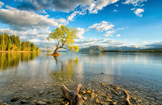 a body of water jigsaw puzzle