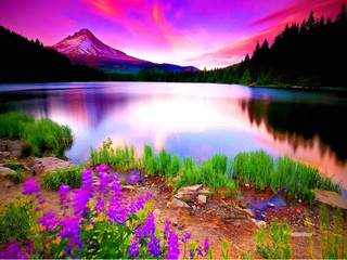 a view of a lake surrounded by a body of water jigsaw puzzle