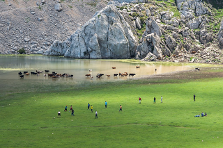 a flock of seagulls flying over a body of water jigsaw puzzle