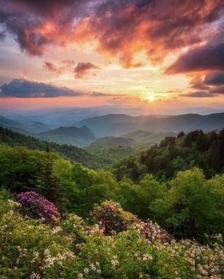 clouds in a forest jigsaw puzzle