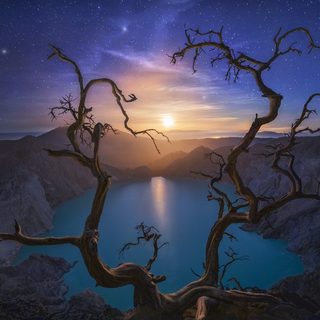 a tree with a sunset in the background jigsaw puzzle