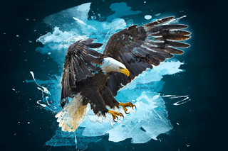 a bird flying into a fish in the water jigsaw puzzle