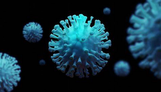 a coral in the dark jigsaw puzzle