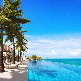 a large pool of water in front of a palm tree jigsaw puzzle