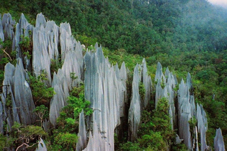 Gunung Mulu National Park in a forest jigsaw puzzle