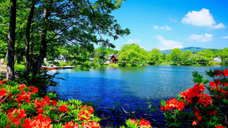 a small boat in a body of water surrounded by trees jigsaw puzzle