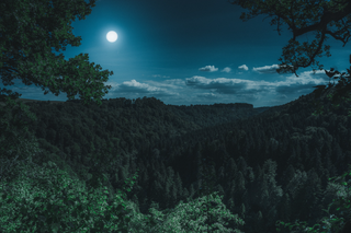 a tree with a mountain in the background jigsaw puzzle