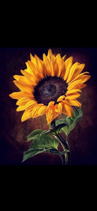 a close up of a flower jigsaw puzzle
