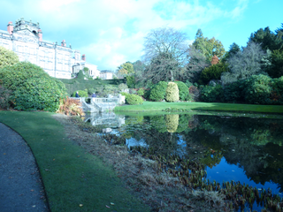 a view of a garden jigsaw puzzle