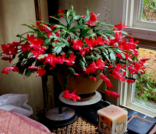 a vase of flowers sitting on a table jigsaw puzzle