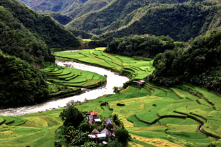 a view of a lush green hillside jigsaw puzzle