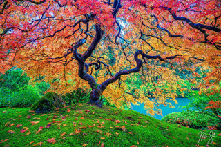 a painting of a tree jigsaw puzzle
