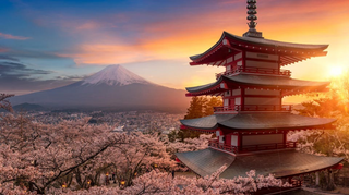 a view of a mountain jigsaw puzzle