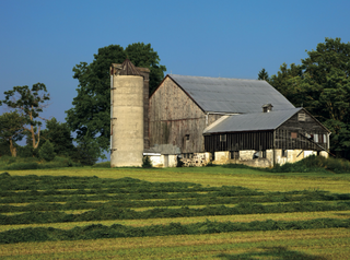 a large green field in front of a house jigsaw puzzle