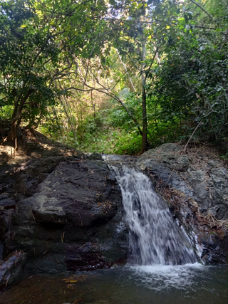 a large waterfall in a forest jigsaw puzzle