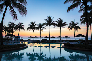 a group of palm trees next to a body of water jigsaw puzzle