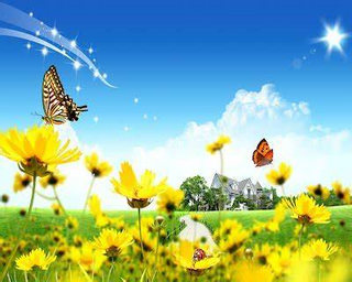 a close up of a flower jigsaw puzzle