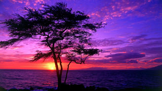 a sunset over a body of water jigsaw puzzle