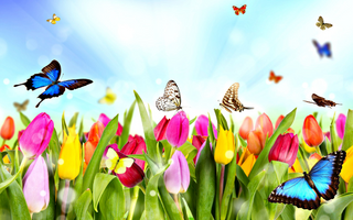 a group of colorful flowers jigsaw puzzle