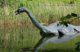 a bird that is standing in the grass next to a body of water jigsaw puzzle