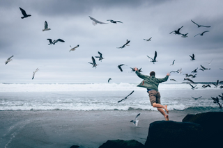 a flock of seagulls flying over a body of water jigsaw puzzle
