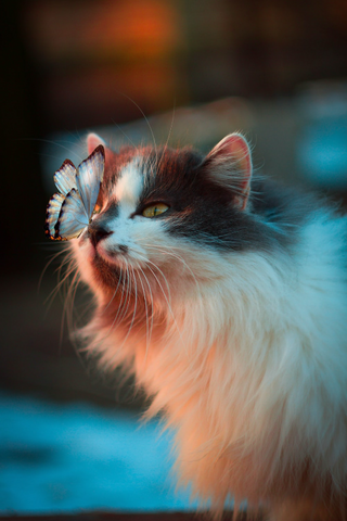 a cat with its mouth open jigsaw puzzle
