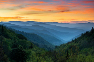 a group of bushes with a mountain in the background jigsaw puzzle
